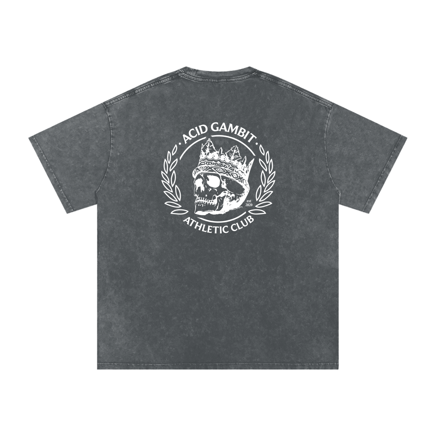 AG Snow Wash Tee